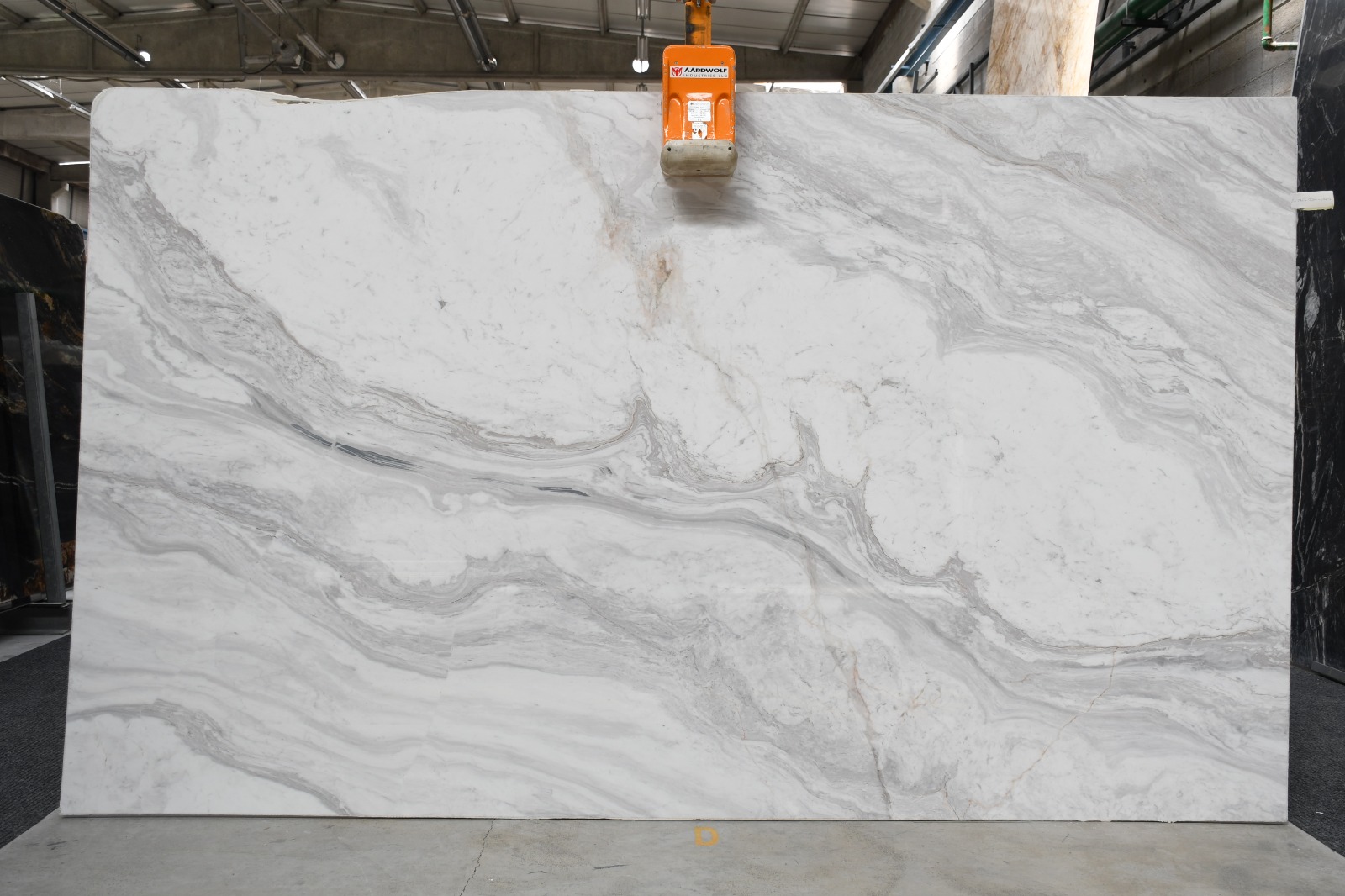 Calacatta Lucina